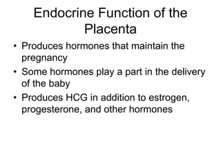 Endocrine Function of the
Placenta
• Produces hormones that maintain the
pregnancy
• Some hormones play a part in the delivery
of the baby
• Produces HCG in addition to estrogen,
progesterone, and other hormones
 