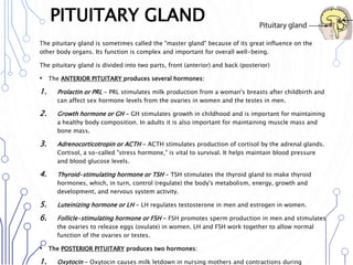 PITUITARY GLAND
The pituitary gland is sometimes called the "master gland" because of its great influence on the
other body organs. Its function is complex and important for overall well-being.
The pituitary gland is divided into two parts, front (anterior) and back (posterior)
• The ANTERIOR PITUITARY produces several hormones:
1. Prolactin or PRL - PRL stimulates milk production from a woman's breasts after childbirth and
can affect sex hormone levels from the ovaries in women and the testes in men.
2. Growth hormone or GH - GH stimulates growth in childhood and is important for maintaining
a healthy body composition. In adults it is also important for maintaining muscle mass and
bone mass.
3. Adrenocorticotropin or ACTH - ACTH stimulates production of cortisol by the adrenal glands.
Cortisol, a so-called "stress hormone," is vital to survival. It helps maintain blood pressure
and blood glucose levels.
4. Thyroid-stimulating hormone or TSH - TSH stimulates the thyroid gland to make thyroid
hormones, which, in turn, control (regulate) the body's metabolism, energy, growth and
development, and nervous system activity.
5. Luteinizing hormone or LH - LH regulates testosterone in men and estrogen in women.
6. Follicle-stimulating hormone or FSH - FSH promotes sperm production in men and stimulates
the ovaries to release eggs (ovulate) in women. LH and FSH work together to allow normal
function of the ovaries or testes.
• The POSTERIOR PITUITARY produces two hormones:
1. Oxytocin - Oxytocin causes milk letdown in nursing mothers and contractions during
 