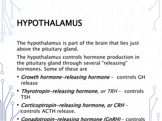 HYPOTHALAMUS
The hypothalamus is part of the brain that lies just
above the pituitary gland.
The hypothalamus controls hormone production in
the pituitary gland through several "releasing"
hormones. Some of these are
• Growth hormone-releasing hormone - controls GH
release
• Thyrotropin-releasing hormone, or TRH - controls
TSH
• Corticoptropin-releasing hormone, or CRH -
controls ACTH release.
 