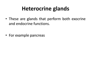 Endocrine system.pptx