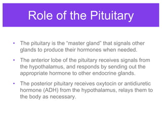 Role of the Pituitary
• The pituitary is the “master gland” that signals other
glands to produce their hormones when neede...