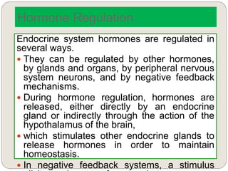 Hormone Regulation
Endocrine system hormones are regulated in
several ways.
 They can be regulated by other hormones,
by glands and organs, by peripheral nervous
system neurons, and by negative feedback
mechanisms.
 During hormone regulation, hormones are
released, either directly by an endocrine
gland or indirectly through the action of the
hypothalamus of the brain,
 which stimulates other endocrine glands to
release hormones in order to maintain
homeostasis.
 In negative feedback systems, a stimulus
 