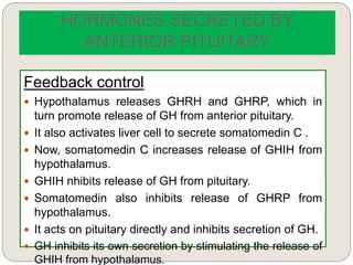 HORMONES SECRETED BY
ANTERIOR PITUITARY
Feedback control
 Hypothalamus releases GHRH and GHRP, which in
turn promote release of GH from anterior pituitary.
 It also activates liver cell to secrete somatomedin C .
 Now, somatomedin C increases release of GHIH from
hypothalamus.
 GHIH nhibits release of GH from pituitary.
 Somatomedin also inhibits release of GHRP from
hypothalamus.
 It acts on pituitary directly and inhibits secretion of GH.
 GH inhibits its own secretion by stimulating the release of
GHIH from hypothalamus.
 
