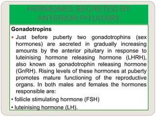 HORMONES SECRETED BY
ANTERIOR PITUITARY
Gonadotropins
 Just before puberty two gonadotrophins (sex
hormones) are secreted in gradually increasing
amounts by the anterior pituitary in response to
luteinising hormone releasing hormone (LHRH),
also known as gonadotrophin releasing hormone
(GnRH). Rising levels of these hormones at puberty
promotes mature functioning of the reproductive
organs. In both males and females the hormones
responsible are:
• follicle stimulating hormone (FSH)
• luteinising hormone (LH).
 