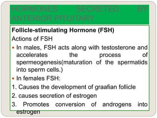 HORMONES SECRETED BY
ANTERIOR PITUITARY
Follicle-stimulating Hormone (FSH)
Actions of FSH
 In males, FSH acts along with testosterone and
accelerates the process of
spermeogenesis(maturation of the spermatids
into sperm cells.)
 In females FSH:
1. Causes the development of graafian follicle
2. causes secretion of estrogen
3. Promotes conversion of androgens into
estrogen
 
