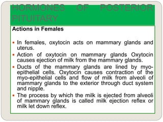HORMONES OF POSTERIOR
PITUITARY
Actions in Females
 In females, oxytocin acts on mammary glands and
uterus.
 Action of oxytocin on mammary glands Oxytocin
causes ejection of milk from the mammary glands.
 Ducts of the mammary glands are lined by myo-
epithelial cells. Oxytocin causes contraction of the
myo-epithelial cells and flow of milk from alveoli of
mammary glands to the exterior through duct system
and nipple.
 The process by which the milk is ejected from alveoli
of mammary glands is called milk ejection reflex or
milk let down reflex.
 