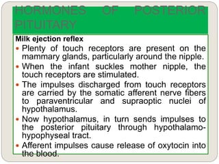 HORMONES OF POSTERIOR
PITUITARY
Milk ejection reflex
 Plenty of touch receptors are present on the
mammary glands, particularly around the nipple.
 When the infant suckles mother nipple, the
touch receptors are stimulated.
 The impulses discharged from touch receptors
are carried by the somatic afferent nerve fibers
to paraventricular and supraoptic nuclei of
hypothalamus.
 Now hypothalamus, in turn sends impulses to
the posterior pituitary through hypothalamo-
hypophyseal tract.
 Afferent impulses cause release of oxytocin into
the blood.
 