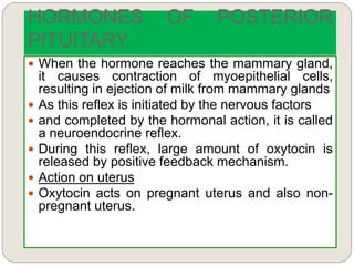HORMONES OF POSTERIOR
PITUITARY
 When the hormone reaches the mammary gland,
it causes contraction of myoepithelial cells,
resulting in ejection of milk from mammary glands
 As this reflex is initiated by the nervous factors
 and completed by the hormonal action, it is called
a neuroendocrine reflex.
 During this reflex, large amount of oxytocin is
released by positive feedback mechanism.
 Action on uterus
 Oxytocin acts on pregnant uterus and also non-
pregnant uterus.
 