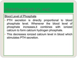 Blood Level of Phosphate
• PTH secretion is directly proportional to blood
phosphate level. Whenever the blood level of
phosphate increases,it combines with ionized
calcium to form calcium hydrogen phosphate.
• This decreases ionized calcium level in blood which
stimulates PTH secretion.
PARATHYROID GLAND
 