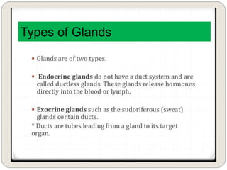 Types of Glands
 