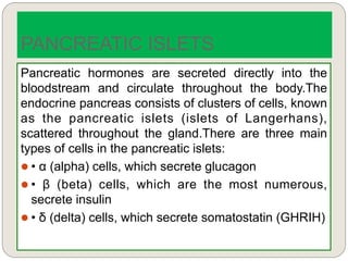 Pancreatic hormones are secreted directly into the
bloodstream and circulate throughout the body.The
endocrine pancreas consists of clusters of cells, known
as the pancreatic islets (islets of Langerhans),
scattered throughout the gland.There are three main
types of cells in the pancreatic islets:
 • α (alpha) cells, which secrete glucagon
 • β (beta) cells, which are the most numerous,
secrete insulin
 • δ (delta) cells, which secrete somatostatin (GHRIH)
PANCREATIC ISLETS
 