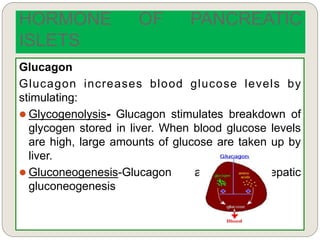 Glucagon
Glucagon increases blood glucose levels by
stimulating:
 Glycogenolysis- Glucagon stimulates breakdown of
glycogen stored in liver. When blood glucose levels
are high, large amounts of glucose are taken up by
liver.
 Gluconeogenesis-Glucagon activates hepatic
gluconeogenesis
HORMONE OF PANCREATIC
ISLETS
 