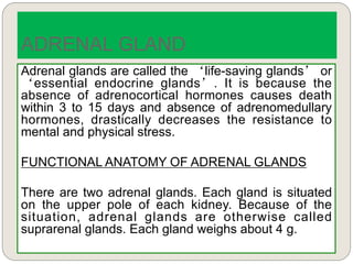 Adrenal glands are called the ‘life-saving glands’ or
‘essential endocrine glands’. It is because the
absence of adrenocortical hormones causes death
within 3 to 15 days and absence of adrenomedullary
hormones, drastically decreases the resistance to
mental and physical stress.
FUNCTIONAL ANATOMY OF ADRENAL GLANDS
There are two adrenal glands. Each gland is situated
on the upper pole of each kidney. Because of the
situation, adrenal glands are otherwise called
suprarenal glands. Each gland weighs about 4 g.
ADRENAL GLAND
 
