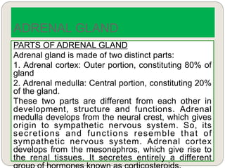 PARTS OF ADRENAL GLAND
Adrenal gland is made of two distinct parts:
1. Adrenal cortex: Outer portion, constituting 80% of
gland
2. Adrenal medulla: Central portion, constituting 20%
of the gland.
These two parts are different from each other in
development, structure and functions. Adrenal
medulla develops from the neural crest, which gives
origin to sympathetic nervous system. So, its
secretions and functions resemble that of
sympathetic nervous system. Adrenal cortex
develops from the mesonephros, which give rise to
the renal tissues. It secretes entirely a different
ADRENAL GLAND
 