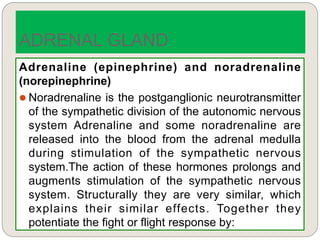 Adrenaline (epinephrine) and noradrenaline
(norepinephrine)
 Noradrenaline is the postganglionic neurotransmitter
of the sympathetic division of the autonomic nervous
system Adrenaline and some noradrenaline are
released into the blood from the adrenal medulla
during stimulation of the sympathetic nervous
system.The action of these hormones prolongs and
augments stimulation of the sympathetic nervous
system. Structurally they are very similar, which
explains their similar effects. Together they
potentiate the fight or flight response by:
ADRENAL GLAND
 
