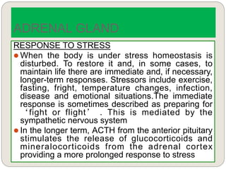 RESPONSE TO STRESS
 When the body is under stress homeostasis is
disturbed. To restore it and, in some cases, to
maintain life there are immediate and, if necessary,
longer-term responses. Stressors include exercise,
fasting, fright, temperature changes, infection,
disease and emotional situations.The immediate
response is sometimes described as preparing for
‘fight or flight’ . This is mediated by the
sympathetic nervous system
 In the longer term, ACTH from the anterior pituitary
stimulates the release of glucocorticoids and
mineralocorticoids from the adrenal cortex
providing a more prolonged response to stress
ADRENAL GLAND
 