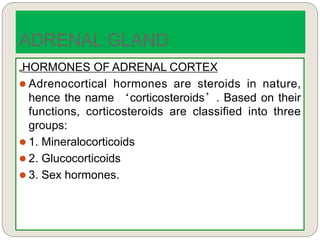 „HORMONES OF ADRENAL CORTEX
 Adrenocortical hormones are steroids in nature,
hence the name ‘corticosteroids’. Based on their
functions, corticosteroids are classified into three
groups:
 1. Mineralocorticoids
 2. Glucocorticoids
 3. Sex hormones.
ADRENAL GLAND
 