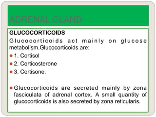 GLUCOCORTICOIDS
G l u c o c o r t i c o i d s a c t m a i n l y o n g l u c o s e
metabolism.Glucocorticoids are:
 1. Cortisol
 2. Corticosterone
 3. Cortisone.
 Glucocorticoids are secreted mainly by zona
fasciculata of adrenal cortex. A small quantity of
glucocorticoids is also secreted by zona reticularis.
ADRENAL GLAND
 
