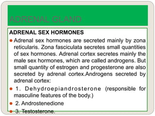 ADRENAL SEX HORMONES
 Adrenal sex hormones are secreted mainly by zona
reticularis. Zona fasciculata secretes small quantities
of sex hormones. Adrenal cortex secretes mainly the
male sex hormones, which are called androgens. But
small quantity of estrogen and progesterone are also
secreted by adrenal cortex.Androgens secreted by
adrenal cortex:
 1. Dehydroepiandrosterone (responsible for
masculine features of the body.)
 2. Androstenedione
 3. Testosterone.
ADRENAL GLAND
 