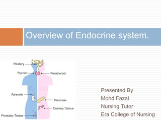 Presented By
Mohd Fazal
Nursing Tutor
Era College of Nursing
Overview of Endocrine system.
 