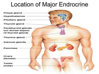 Location of Major Endrocrine
Organs
Figure 9.3
 