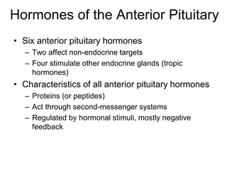 Hormones of the Anterior Pituitary
• Six anterior pituitary hormones
– Two affect non-endocrine targets
– Four stimulate other endocrine glands (tropic
hormones)
• Characteristics of all anterior pituitary hormones
– Proteins (or peptides)
– Act through second-messenger systems
– Regulated by hormonal stimuli, mostly negative
feedback
 