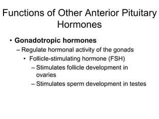 Functions of Other Anterior Pituitary
Hormones
• Gonadotropic hormones
– Regulate hormonal activity of the gonads
• Follicle-stimulating hormone (FSH)
– Stimulates follicle development in
ovaries
– Stimulates sperm development in testes
 