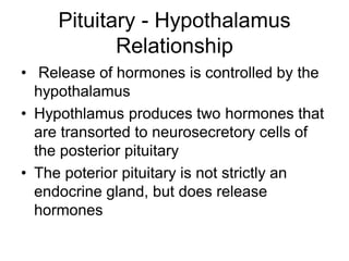 Pituitary - Hypothalamus
Relationship
• Release of hormones is controlled by the
hypothalamus
• Hypothlamus produces two hormones that
are transorted to neurosecretory cells of
the posterior pituitary
• The poterior pituitary is not strictly an
endocrine gland, but does release
hormones
 