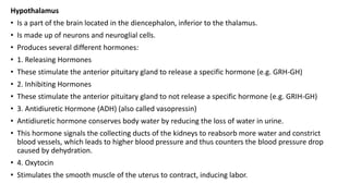 Hypothalamus
• Is a part of the brain located in the diencephalon, inferior to the thalamus.
• Is made up of neurons and neuroglial cells.
• Produces several different hormones:
• 1. Releasing Hormones
• These stimulate the anterior pituitary gland to release a specific hormone (e.g. GRH-GH)
• 2. Inhibiting Hormones
• These stimulate the anterior pituitary gland to not release a specific hormone (e.g. GRIH-GH)
• 3. Antidiuretic Hormone (ADH) (also called vasopressin)
• Antidiuretic hormone conserves body water by reducing the loss of water in urine.
• This hormone signals the collecting ducts of the kidneys to reabsorb more water and constrict
blood vessels, which leads to higher blood pressure and thus counters the blood pressure drop
caused by dehydration.
• 4. Oxytocin
• Stimulates the smooth muscle of the uterus to contract, inducing labor.
 
