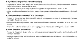 2. Thyroid Stimulating Hormone (TSH or Thryotropin)
• Travels to the thyroid gland (target cells) where it stimulates the release of thyroid hormones in response
to low temperatures, stress, and pregnancy
• Thyrotropin releasing hormone (TRH) from the hypothalamus promotes the release of TSH
• Rising blood levels of thyroid hormones act on the pituitary and hypothalamus to block the release of
TSH
3. Adrenocorticotropic Hormone (ACTH or Corticotropin)
• Travels to the adrenal gland (target cells) where it stimulates the release of corticosteroids (such as
cortisol) in the adrenal cortex.
• Corticotropin-releasing hormone (CRH) from the hypothalamus promotes the release of ACTH in a daily
rhythm
• Internal and external factors such as fever, hypoglycemia, and stressors can trigger the release of CRH
4. Follicle Stimulating Hormone (FSH)
• Travels to the gonads (target cells) and stimulates sperm or egg cell production and maturation and
estrogen secretion
• Gonadotropin-releasing hormone (GnRH) from the hypothalamus promotes the release of FSH during
and after puberty
 