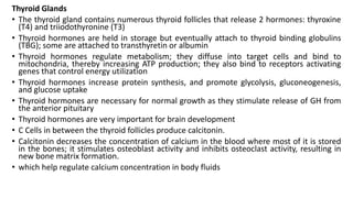 Thyroid Glands
• The thyroid gland contains numerous thyroid follicles that release 2 hormones: thyroxine
(T4) and triiodothyronine (T3)
• Thyroid hormones are held in storage but eventually attach to thyroid binding globulins
(TBG); some are attached to transthyretin or albumin
• Thyroid hormones regulate metabolism; they diffuse into target cells and bind to
mitochondria, thereby increasing ATP production; they also bind to receptors activating
genes that control energy utilization
• Thyroid hormones increase protein synthesis, and promote glycolysis, gluconeogenesis,
and glucose uptake
• Thyroid hormones are necessary for normal growth as they stimulate release of GH from
the anterior pituitary
• Thyroid hormones are very important for brain development
• C Cells in between the thyroid follicles produce calcitonin.
• Calcitonin decreases the concentration of calcium in the blood where most of it is stored
in the bones; it stimulates osteoblast activity and inhibits osteoclast activity, resulting in
new bone matrix formation.
• which help regulate calcium concentration in body fluids
 