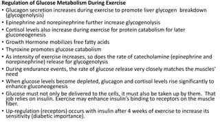 Regulation of Glucose Metabolism During Exercise
• Glucagon secretion increases during exercise to promote liver glycogen breakdown
(glycogenolysis)
• Epinephrine and norepinephrine further increase glycogenolysis
• Cortisol levels also increase during exercise for protein catabolism for later
gluconeogenesis
• Growth Hormone mobilizes free fatty acids
• Thyroxine promotes glucose catabolism
• As intensity of exercise increases, so does the rate of catecholamine (epinephrine and
norepinephrine) release for glycogenolysis
• During endurance events, the rate of glucose release very closely matches the muscles'
need
• When glucose levels become depleted, glucagon and cortisol levels rise significantly to
enhance gluconeogenesis
• Glucose must not only be delivered to the cells, it must also be taken up by them. That
job relies on insulin. Exercise may enhance insulin’s binding to receptors on the muscle
fiber.
• Up-regulation (receptors) occurs with insulin after 4 weeks of exercise to increase its
sensitivity (diabetic importance).
 