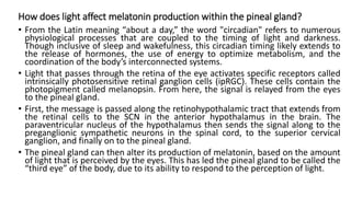 How does light affect melatonin production within the pineal gland?
• From the Latin meaning “about a day,” the word "circadian" refers to numerous
physiological processes that are coupled to the timing of light and darkness.
Though inclusive of sleep and wakefulness, this circadian timing likely extends to
the release of hormones, the use of energy to optimize metabolism, and the
coordination of the body’s interconnected systems.
• Light that passes through the retina of the eye activates specific receptors called
intrinsically photosensitive retinal ganglion cells (ipRGC). These cells contain the
photopigment called melanopsin. From here, the signal is relayed from the eyes
to the pineal gland.
• First, the message is passed along the retinohypothalamic tract that extends from
the retinal cells to the SCN in the anterior hypothalamus in the brain. The
paraventricular nucleus of the hypothalamus then sends the signal along to the
preganglionic sympathetic neurons in the spinal cord, to the superior cervical
ganglion, and finally on to the pineal gland.
• The pineal gland can then alter its production of melatonin, based on the amount
of light that is perceived by the eyes. This has led the pineal gland to be called the
“third eye” of the body, due to its ability to respond to the perception of light.
 