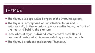 Endocrine system.pptx