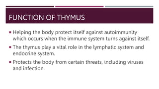 Endocrine system.pptx