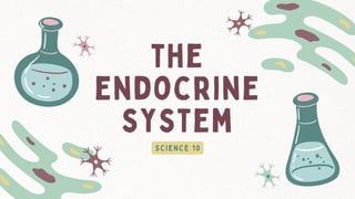 the
endocrine
system
SCIENCE 10
 