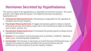 Hormones Secreted by Hypothalamus
The anterior region of the hypothalamus is responsible for hormone secretion. The nuclei
present in this region lead the process. The important hormones secreted by
hypothalamus are:
 Corticotropin-Releasing Hormone: This hormone is responsible for the regulation of
metabolic and immune response.
 Thyrotropin Releasing Hormone: It triggers the pituitary gland to release a thyroid-
stimulating hormone which plays a major role in the functioning of organs of the body
such as heart, muscles, etc.
 Gonadotropin-Releasing Hormone: It stimulates the pituitary gland to release several
reproductive hormones.
 Oxytocin: It is involved in several processes such as lactation, childbirth, regulating
sleep cycles, maintaining body temperature.
 Somatostatin: This hormone is also known as Growth Hormone Inhibiting Hormone. It
regulates the endocrine system and affects the neurotransmission and cell
proliferation by interacting with G-protein coupled receptors.
 