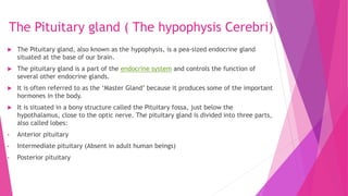 The Pituitary gland ( The hypophysis Cerebri)
 The Pituitary gland, also known as the hypophysis, is a pea-sized endocrine gland
situated at the base of our brain.
 The pituitary gland is a part of the endocrine system and controls the function of
several other endocrine glands.
 It is often referred to as the ‘Master Gland’ because it produces some of the important
hormones in the body.
 It is situated in a bony structure called the Pituitary fossa, just below the
hypothalamus, close to the optic nerve. The pituitary gland is divided into three parts,
also called lobes:
• Anterior pituitary
• Intermediate pituitary (Absent in adult human beings)
• Posterior pituitary
 