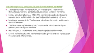 The anterior pituitary gland produces and releases six main hormones:
 Adrenocorticotropic hormone (ACTH, or corticotropin): This hormone
stimulates your adrenal glands to produce cortisol and other hormones.
 Follicle-stimulating hormone (FSH): This hormone stimulates the testes to
produce sperm and stimulates the ovaries to produce eggs and estrogen.
 Luteinising hormone (LH): This hormone stimulates the ovaries and testes to
produce hormones.
 Thyroid-stimulating hormone (TSH): This hormone stimulates the thyroid
gland to produce thyroid hormones.
 Prolactin (PRL): This hormone stimulates milk production in women.
 Growth hormone (GH): This hormone stimulates growth and cell reproduction
in humans and other animals.
 
