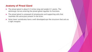 Anatomy of Pineal Gland
 The pineal gland is about 0.3 inches long and weighs 0.1 grams. The
adrenergic nerves entering the pineal gland regulate its functions.
 The pineal gland is composed of pinealocytes and supporting cells that
resemble the astrocytes present in the brain.
 Some lower vertebrates have a well-developed eye-like structure that acts as
a light receptor.
 