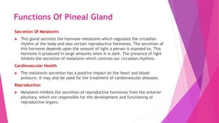 Functions Of Pineal Gland
Secretion Of Melatonin
 This gland secretes the hormone melatonin which regulates the circadian
rhythm of the body and also certain reproductive hormones. The secretion of
this hormone depends upon the amount of light a person is exposed to. This
hormone is produced in large amounts when it is dark. The presence of light
inhibits the secretion of melatonin which controls our circadian rhythms.
Cardiovascular Health
 The melatonin secretion has a positive impact on the heart and blood
pressure. It may also be used for the treatment of cardiovascular diseases.
Reproduction
 Melatonin inhibits the secretion of reproductive hormones from the anterior
pituitary, which are responsible for the development and functioning of
reproductive organs.
 