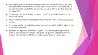  The thyroid gland is a butterfly shaped, vascular, red-brown endocrine gland
situated in the midline of the anterior neck. Under normal circumstances, it
extends from the level of the 5th cervical vertebra (C5) to the first thoracic
vertebra (T1).
 On average, the gland weighs between 15 to 25 g, and is the largest of the
endocrine glands.
 The irregular structure is encased in the pretracheal part of the deep cervical
fascia .
 It is made up of a central isthmus that connects the right and left lobes of the
organ inferomedially.
 Between the ages of 8 months to 15 years, the thyroid gland appears the
same in both males and females. However, the gland is slightly heavier in
females over the age of 15 than in male counterparts of similar age.
 