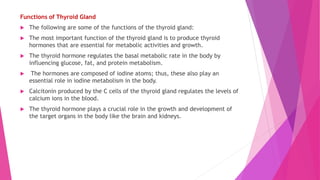 Functions of Thyroid Gland
 The following are some of the functions of the thyroid gland:
 The most important function of the thyroid gland is to produce thyroid
hormones that are essential for metabolic activities and growth.
 The thyroid hormone regulates the basal metabolic rate in the body by
influencing glucose, fat, and protein metabolism.
 The hormones are composed of iodine atoms; thus, these also play an
essential role in iodine metabolism in the body.
 Calcitonin produced by the C cells of the thyroid gland regulates the levels of
calcium ions in the blood.
 The thyroid hormone plays a crucial role in the growth and development of
the target organs in the body like the brain and kidneys.
 