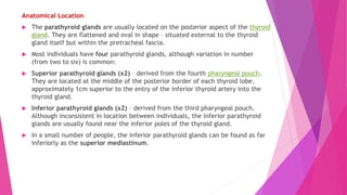 Anatomical Location
 The parathyroid glands are usually located on the posterior aspect of the thyroid
gland. They are flattened and oval in shape – situated external to the thyroid
gland itself but within the pretracheal fascia.
 Most individuals have four parathyroid glands, although variation in number
(from two to six) is common:
 Superior parathyroid glands (x2) – derived from the fourth pharyngeal pouch.
They are located at the middle of the posterior border of each thyroid lobe,
approximately 1cm superior to the entry of the inferior thyroid artery into the
thyroid gland.
 Inferior parathyroid glands (x2) – derived from the third pharyngeal pouch.
Although inconsistent in location between individuals, the inferior parathyroid
glands are usually found near the inferior poles of the thyroid gland.
 In a small number of people, the inferior parathyroid glands can be found as far
inferiorly as the superior mediastinum.
 