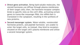  Direct gene activation. Being lipid-soluble molecules, the
steroid hormones can diffuse through plasma membranes
of their target cells; then, the hormone-receptor complex
binds to specific sites on the cell’s DNA, activating certain
genes to transcribe messenger RNA; the mRNA then is
translated in the cytoplasm, resulting in the synthesis of
new proteins.
 Second messenger system. Water-soluble, nonsteroidal
hormones-protein, and peptide hormones- are unable to
enter the target cells, so instead, they bind to receptors
situated on the target cell’s plasma membrane and utilize
a second messenger system.
 