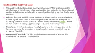 Functions of the Parathyroid Gland
 The parathyroid gland releases a parathyroid hormone (PTH). Also known as the
parathormone or parathyrine, it is a small peptide that maintains the homeostasis of
calcium and phosphate and also aids in bone physiology. Let us see how this hormone
functions.
 Calcium: The parathyroid hormone functions to release calcium from the bones by
stimulating the osteoblasts. It facilitates gastrointestinal calcium absorption by
activating Vitamin D. It also promotes calcium reabsorption in the kidneys. Normal
calcium levels in the body support strong nervous and muscular systems.
 Phosphorus: It inhibits the absorption of phosphorus in the kidneys, however, the
hormone increases the absorption of phosphorus in the gastrointestinal tract by
activating Vitamin D.
 Activation of Vitamin D: The PTH also helps in the activation of Vitamin D by
upregulating the enzyme 1-α-hydroxylase.
 