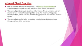 Adrenal Gland Function
 One of the most well-known responses – the Fight or Flight Response is
triggered by the release of stress hormones from the adrenal glands.
 The adrenal glands produce a variety of hormones. These hormones are very
crucial for the normal functioning of the body. For instance, the glands
secrete cortisol, which has anti-inflammatory properties and aids the immune
system.
 The adrenal gland also helps to regulate metabolism and blood pressure
through various other hormones.
 