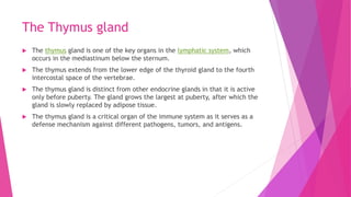 The Thymus gland
 The thymus gland is one of the key organs in the lymphatic system, which
occurs in the mediastinum below the sternum.
 The thymus extends from the lower edge of the thyroid gland to the fourth
intercostal space of the vertebrae.
 The thymus gland is distinct from other endocrine glands in that it is active
only before puberty. The gland grows the largest at puberty, after which the
gland is slowly replaced by adipose tissue.
 The thymus gland is a critical organ of the immune system as it serves as a
defense mechanism against different pathogens, tumors, and antigens.
 
