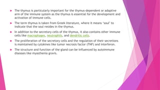  The thymus is particularly important for the thymus-dependent or adaptive
arm of the immune system as the thymus is essential for the development and
activation of immune cells.
 The term thymus is taken from Greek literature, where it means ‘soul’ to
indicate that the soul resides in the thymus.
 In addition to the secretory cells of the thymus, it also contains other immune
cells like macrophages, neutrophils, and dendritic cells.
 The proliferation of the secretory cells and the regulation of their secretions
is maintained by cytokines like tumor necrosis factor (TNF) and interferon.
 The structure and function of the gland can be influenced by autoimmune
diseases like myasthenia gravis.
 