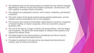  The epithelial cells of the thymus gland are divided into four distinct subtypes
depending on different factors like antigenic expression, ultrastructure, and
their capacity to produce thymic hormones.
 The subtypes are subcapsular cortical, inner cortical, medullary, and Hassall’s
corpuscles.
 The outer cortex of the gland contains loosely packed lymphocytes, and the
medulla contains reticulocytes rich in the cytoplasm.
 The structure also contains small bodies called Hassall’s concentric corpuscles
or Hassall’s bodies, or thymic corpuscles, which are concentric arrays of
squamous cells.
 The size of the thymus is large in infants and young children, with the largest
size at puberty. The gland then slowly begins to coalesce after puberty to be
replaced by adipose tissue.
 The blood supply to the thymus gland is provided by the inferior thyroid,
internal thyroid, and intercostals arteries.
 The gland is attached to the sternum by sternohyoid and sternothyroid
muscles, both of which are bilateral.
 